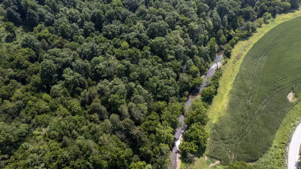View/Area - 500 Shuler Branch Rd, Ethridge, TN 38456 photo 6 of 13
