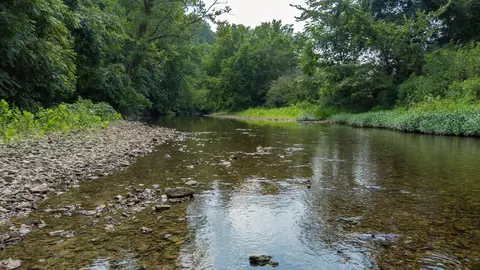View/Area - 500 Shuler Branch Rd, Ethridge, TN 38456 photo 1 of 13
