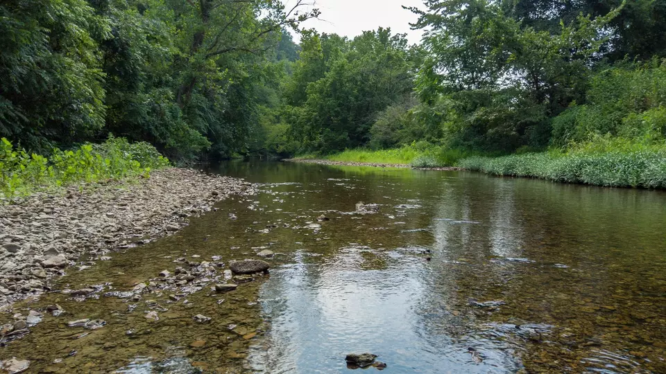 View/Area - 500 Shuler Branch Rd, Ethridge, TN 38456 photo 1 of 13