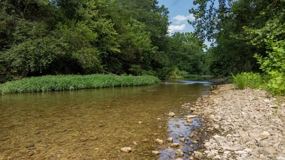 View/Area - 500 Shuler Branch Rd, Ethridge, TN 38456 photo 11 of 13