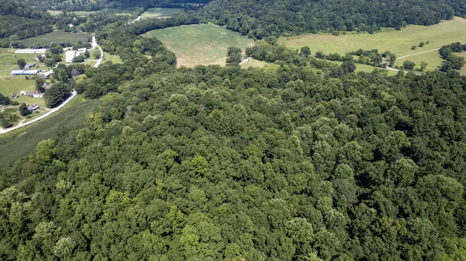 View/Area - 500 Shuler Branch Rd, Ethridge, TN 38456 photo 9 of 13