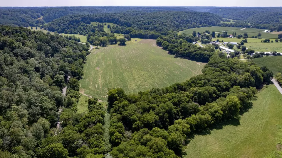 View/Area - 500 Shuler Branch Rd, Ethridge, TN 38456 photo 3 of 13