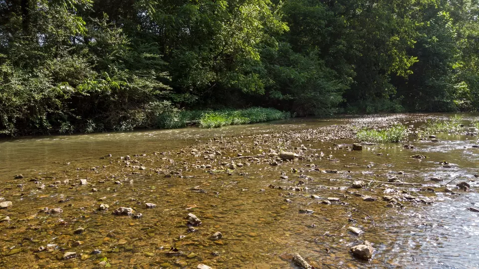 View/Area - 500 Shuler Branch Rd, Ethridge, TN 38456 photo 13 of 13
