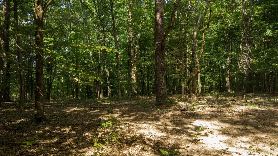 Exterior - 500 Shuler Branch Rd, Ethridge, TN 38456 photo 6 of 6