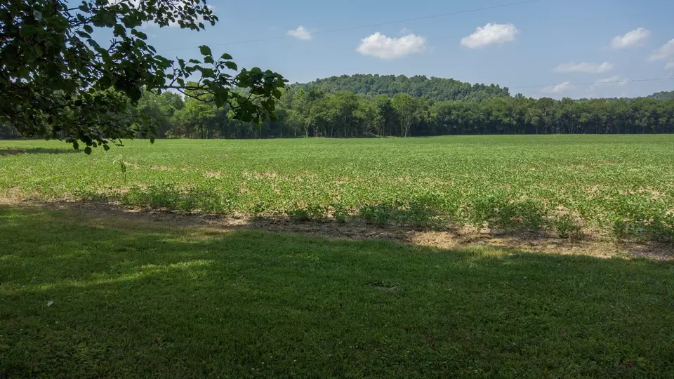 Exterior - 500 Shuler Branch Rd, Ethridge, TN 38456 photo 3 of 6