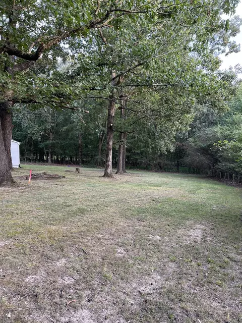150 Springer Dr, Dickson, TN 37055 photo 17