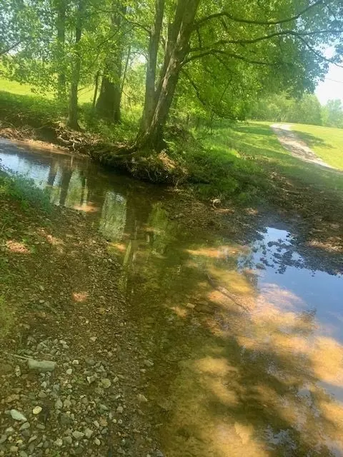 1141 Rogues Fork Rd, Bethpage, TN 37022 photo 22
