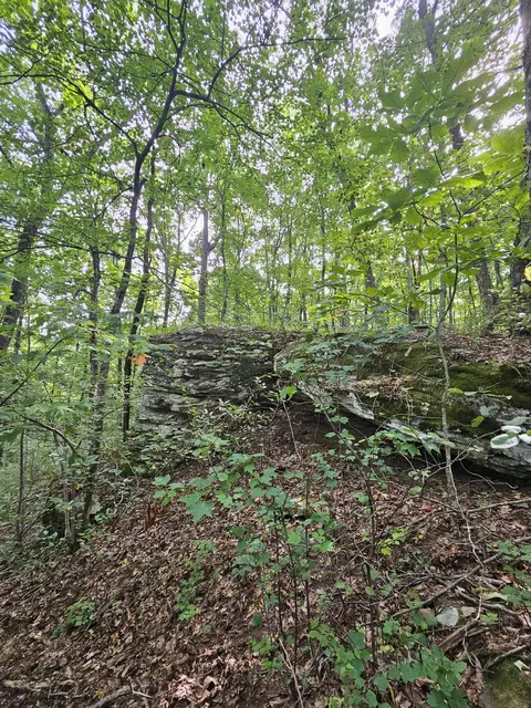 0 60th Ave S, Gruetli Laager, TN 37339