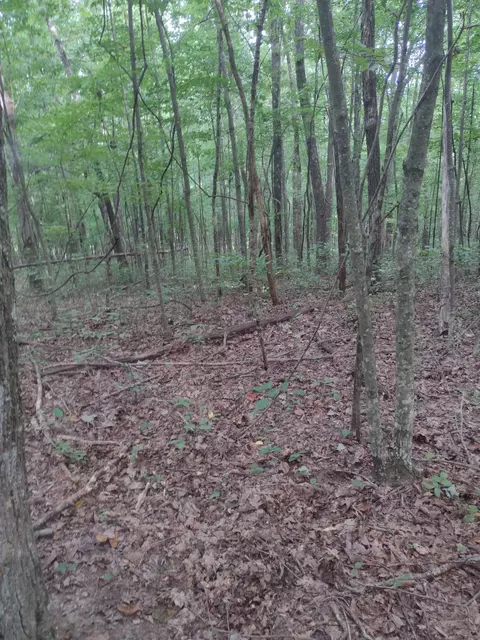 0 N Of 60th Ave S, Gruetli Laager, TN 37339