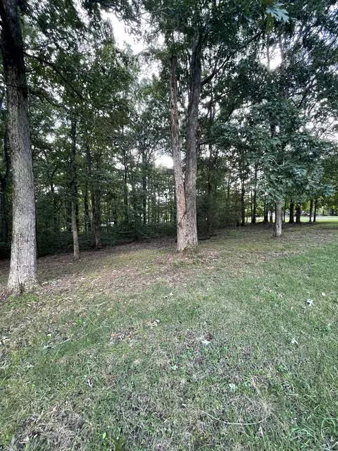 214 Rouse Rd, Dickson, TN 37055 photo 14