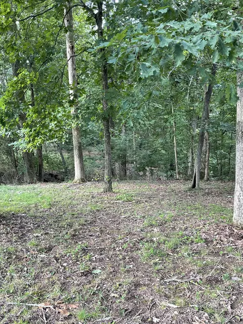 214 Rouse Rd, Dickson, TN 37055 photo 56