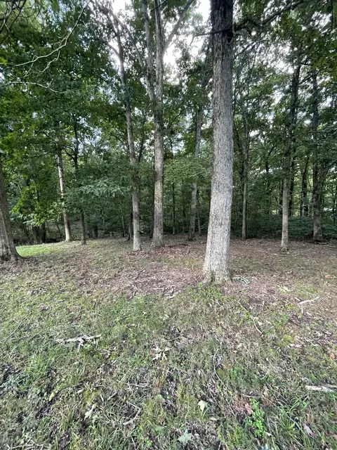 214 Rouse Rd, Dickson, TN 37055 photo 58