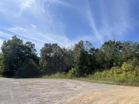 6564 Highway 100, Centerville, TN 37033