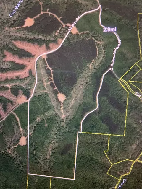 3025 Maple Rd, Stewart, TN 37175