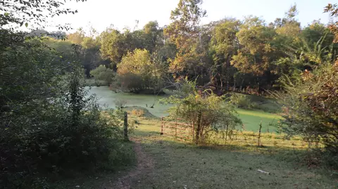 3876 Raleigh Elam Rd, Santa Fe, TN 38482