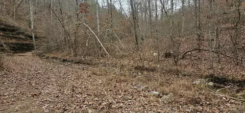 1714 Dave Risner Rd, Ethridge, TN 38456 photo 23