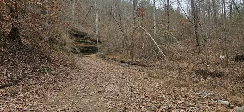 1714 Dave Risner Rd, Ethridge, TN 38456 photo 24