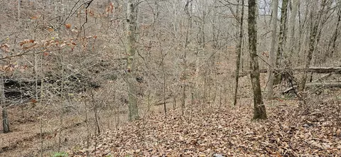 1714 Dave Risner Rd, Ethridge, TN 38456 photo 25