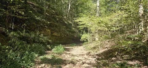 1714 Dave Risner Rd, Ethridge, TN 38456 photo 4