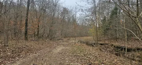 1714 Dave Risner Rd, Ethridge, TN 38456 photo 28