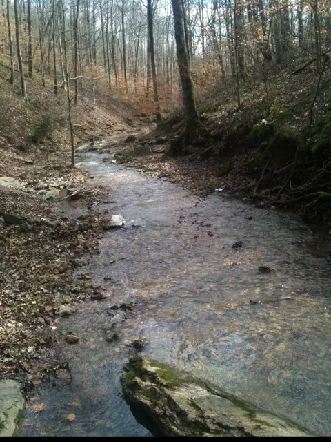 1714 Dave Risner Rd, Ethridge, TN 38456 photo 3