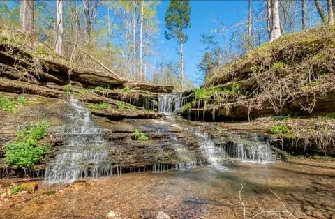 1714 Dave Risner Rd, Ethridge, TN 38456