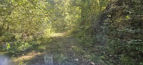 1714 Dave Risner Rd, Ethridge, TN 38456 photo 16