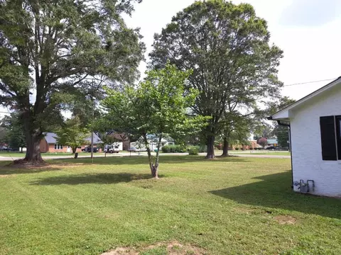 204 Fairgrounds Rd, Paris, TN 38242 photo 3