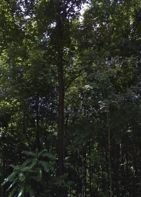 948 Normandy Rd, Normandy, TN 37360