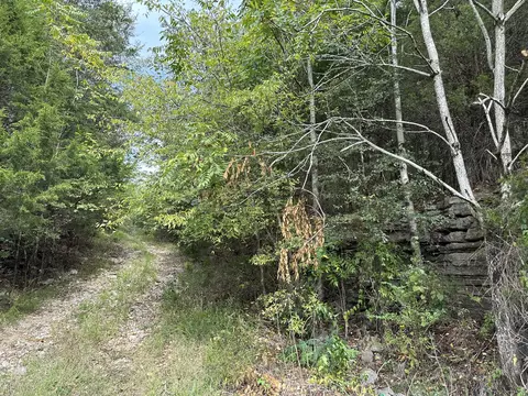 613 Dixon Springs Hwy, Riddleton, TN 37151