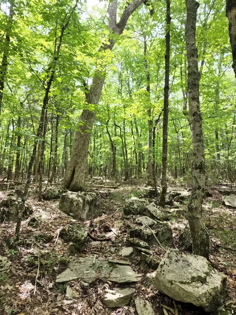 4 Sewanee Summit Rd, Decherd, TN 37324 photo 24