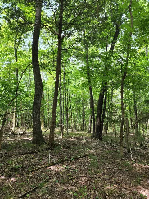 4 Sewanee Summit Rd, Decherd, TN 37324 photo 9