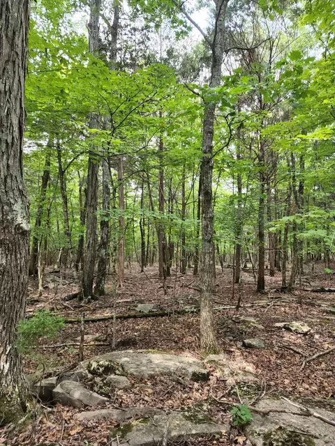 4 Sewanee Summit Rd, Decherd, TN 37324 photo 29