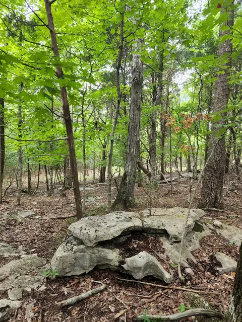 4 Sewanee Summit Rd, Decherd, TN 37324 photo 27