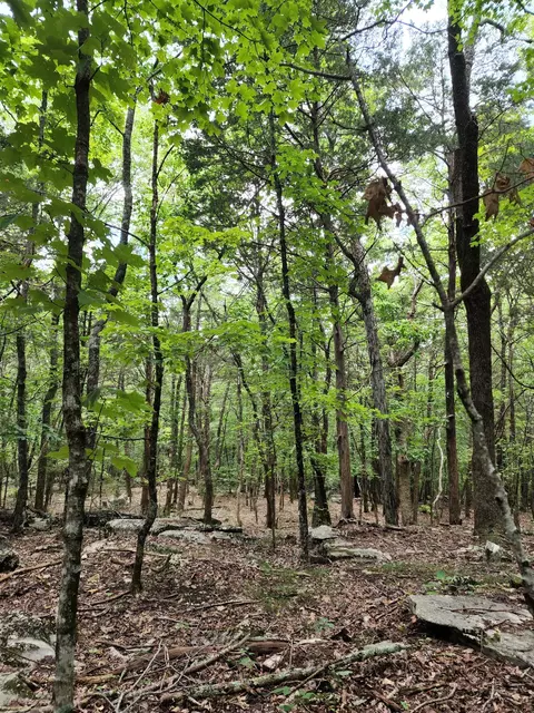 4 Sewanee Summit Rd, Decherd, TN 37324 photo 13