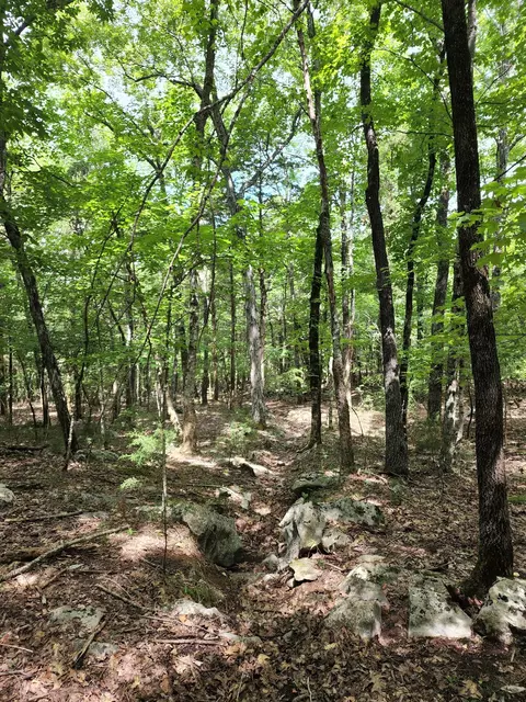 4 Sewanee Summit Rd, Decherd, TN 37324 photo 23