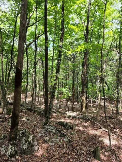 4 Sewanee Summit Rd, Decherd, TN 37324 photo 19
