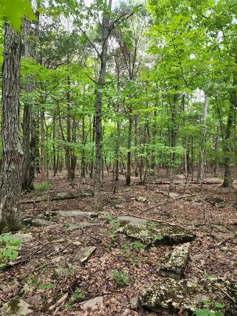 4 Sewanee Summit Rd, Decherd, TN 37324 photo 31