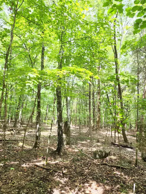 4 Sewanee Summit Rd, Decherd, TN 37324 photo 3