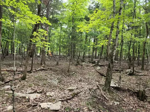 4 Sewanee Summit Rd, Decherd, TN 37324
