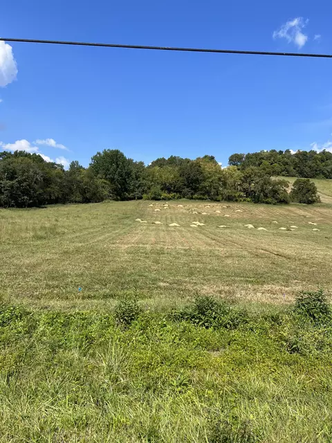 2979 Spring Pl, Belfast, TN 37019