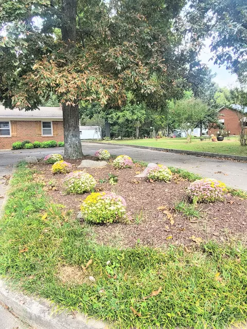441 E Maple St, Morrison, TN 37357 photo 32