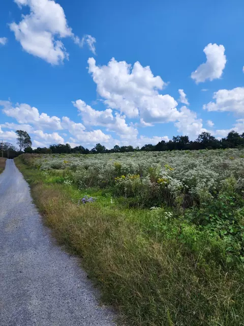 0 Goodridge Rd, Woodbury, TN 37190
