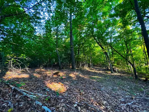 0 Charles Freeman Ln, Beechgrove, TN 37018