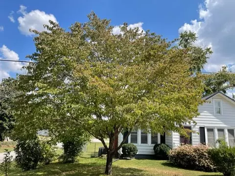 408 2nd Ave N, Decherd, TN 37324 photo 51