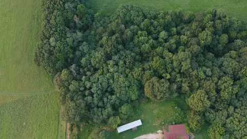 1572 Webbs Camp Rd, Walling, TN 38587 photo 20