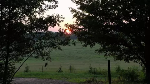 1572 Webbs Camp Rd, Walling, TN 38587 photo 23