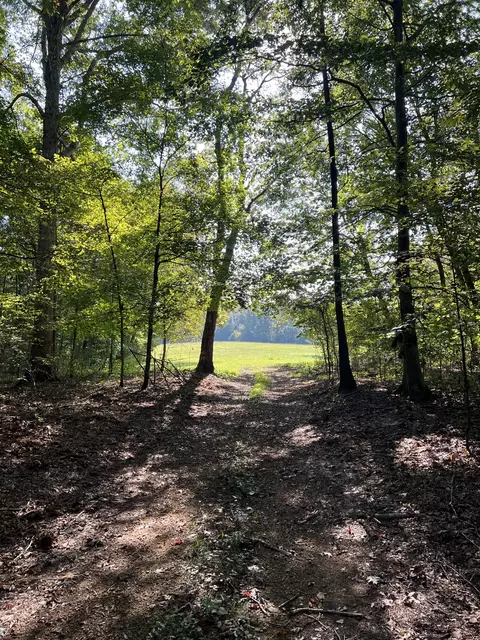 4153 Swan Creek Rd, Centerville, TN 37033