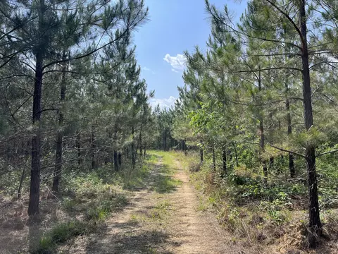 0 Sinking Creek Prong, Linden, TN 37096
