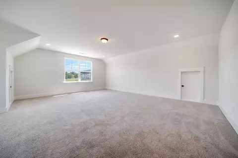 7425 Twill Heights Loop E, Fairview, TN 37062 photo 55